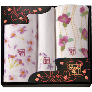 和布華　ガーゼ＆パイルフェイスタオル 2P・タオルハンカチ