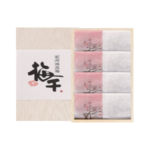 紀州南高梅個包装ギフト